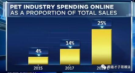 互聯(lián)網(wǎng)寵物商品銷售 下一個(gè)電商風(fēng)口？